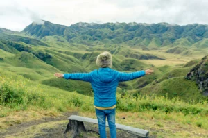 Best Time To Visit Dzukou Valley