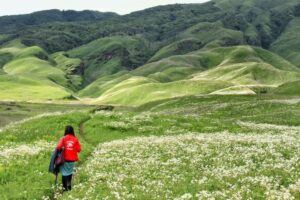 Best Time To Visit Dzukou Valley