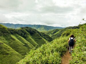 Best Time To Visit Dzukou Valley