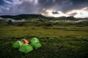 Best Time To Visit Dzukou Valley