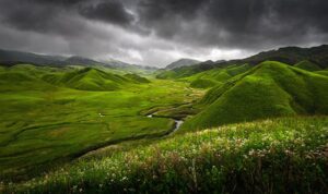 Best Time To Visit Dzukou Valley